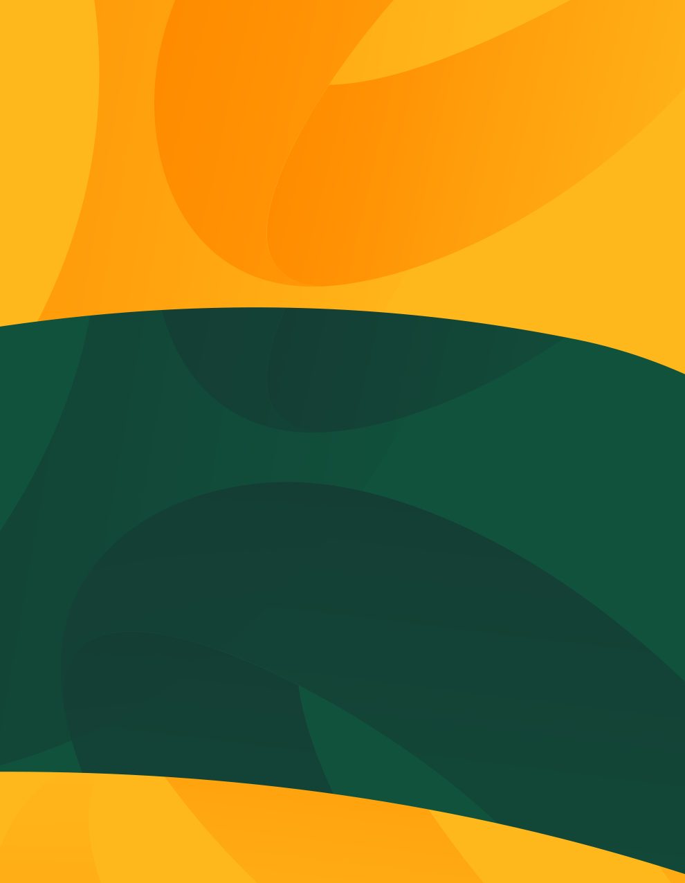 Matildas Asian Cup Final